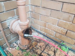 Blocked Sewer Essendon | Flushable Wipes | Finlay Plumbing